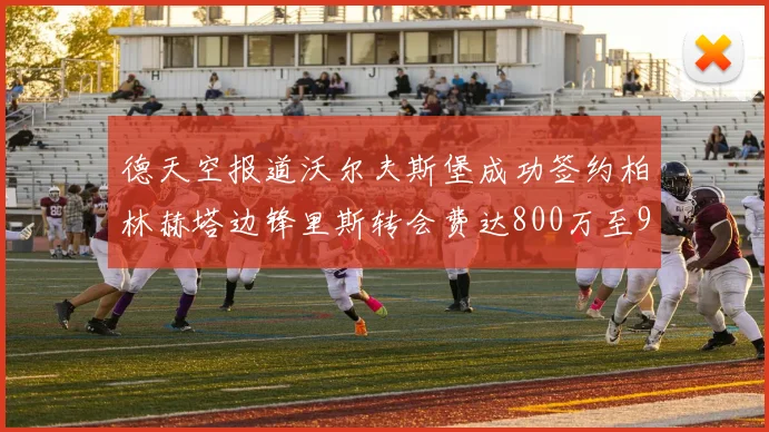 德天空报道沃尔夫斯堡成功签约柏林赫塔边锋里斯转会费达800万至900万欧元