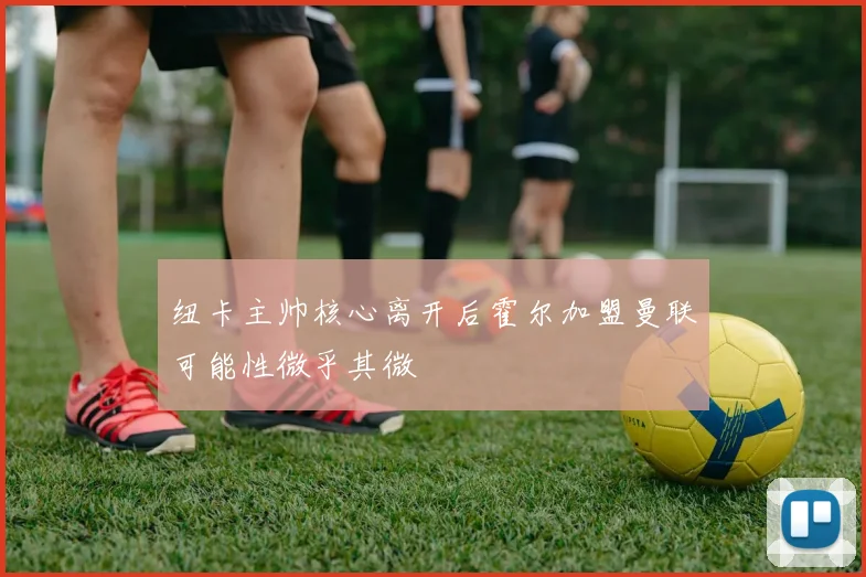 纽卡主帅核心离开后霍尔加盟曼联可能性微乎其微