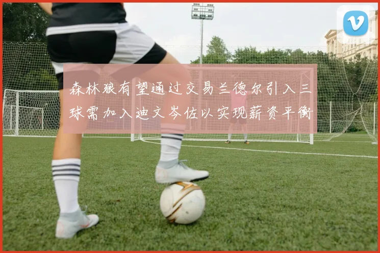 森林狼有望通过交易兰德尔引入三球需加入迪文岑佐以实现薪资平衡