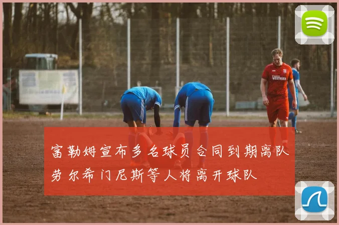 富勒姆宣布多名球员合同到期离队劳尔希门尼斯等人将离开球队