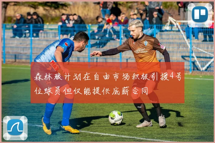 森林狼计划在自由市场积极引援4号位球员但仅能提供底薪合同