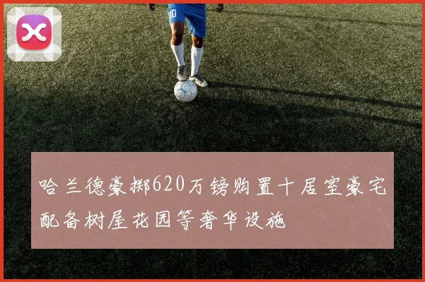 哈兰德豪掷620万镑购置十居室豪宅配备树屋花园等奢华设施